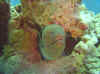 Dsc02523b.jpg (95003 bytes)