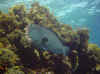Dsc02593b.jpg (87997 bytes)