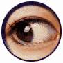 eye 9k.gif (9268 bytes)