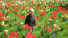 flowerpower