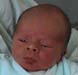 sebastian 2000 